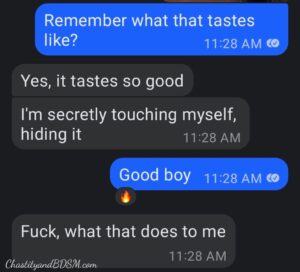 Text conversation image of hubby getting the play by play of John pleasing me while I was away and he was left home to imagine. 